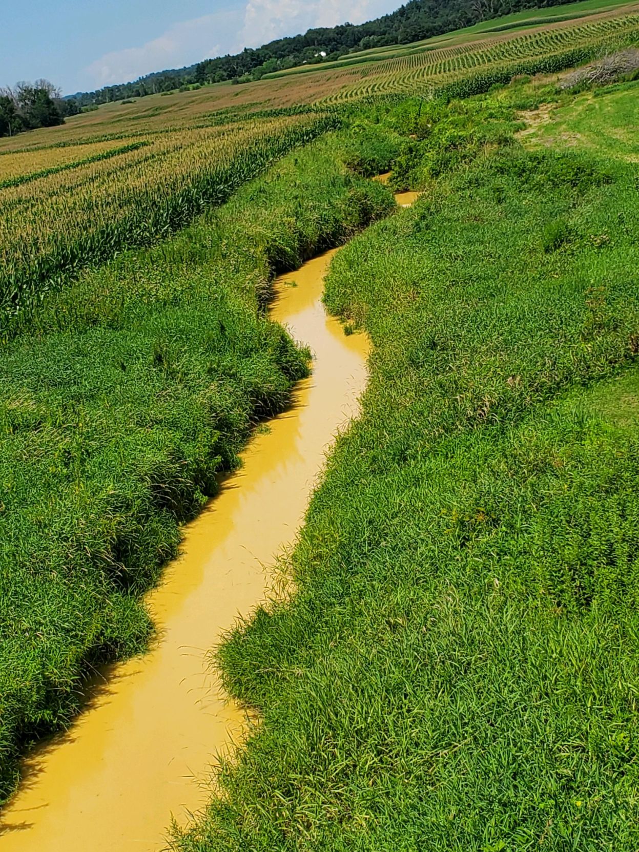 Curran Coulee Creek